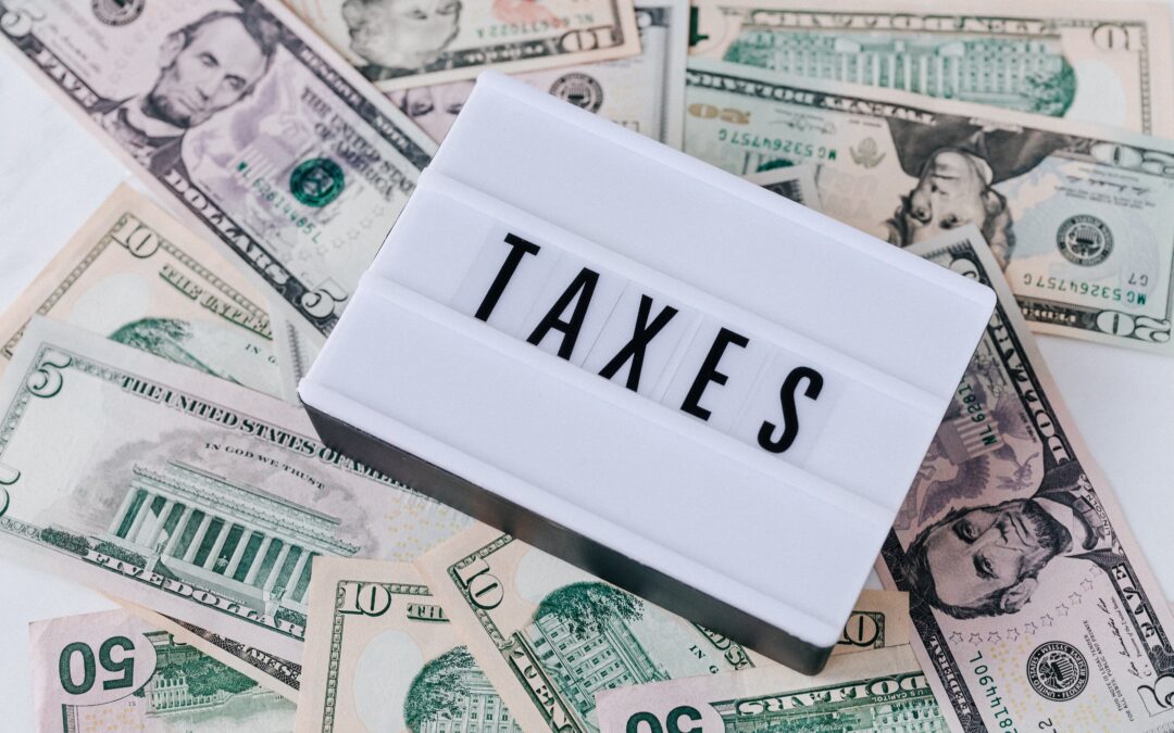 Why Should I Hire a Professional for my Tax Issues?